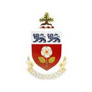 约克大学